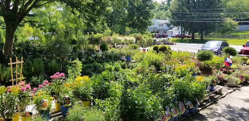 Garden Center «Distinctive Gardens», reviews and photos, 1531 Telegraph Rd, West Chester, PA 19380, USA