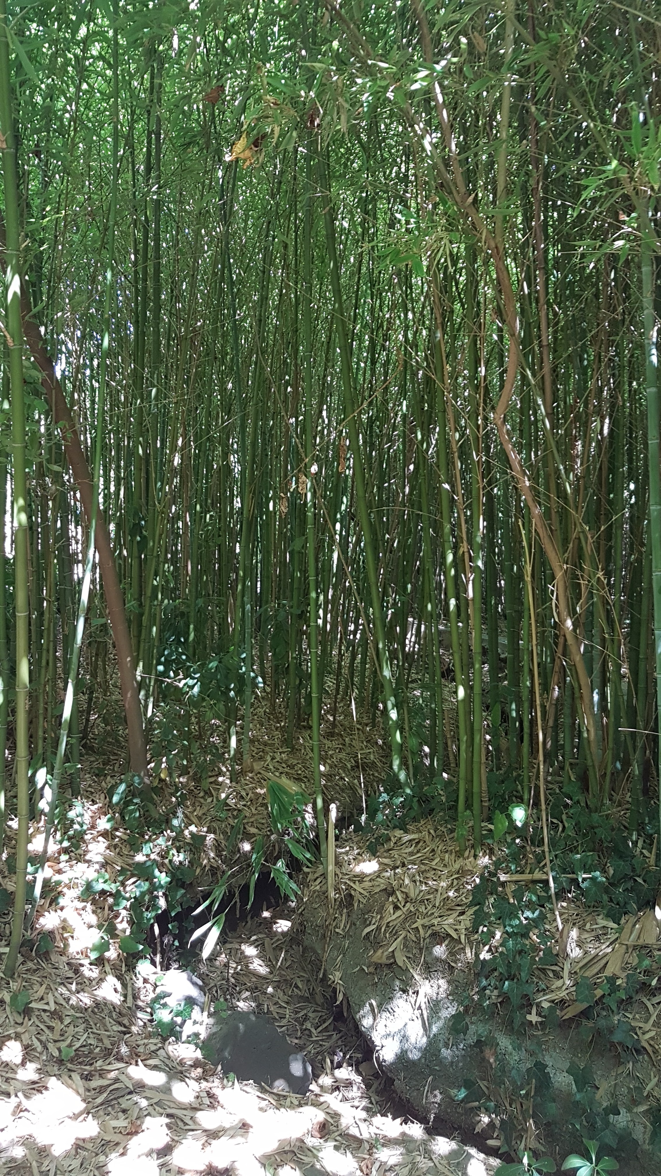 Photo n° 3 de l'avis de Shu-Chun.G fait le 07/09/2021 à 16:45