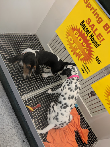 Pet Store «Petland Montgomery», reviews and photos, 7127 Eastchase Pkwy, Montgomery, AL 36117, USA