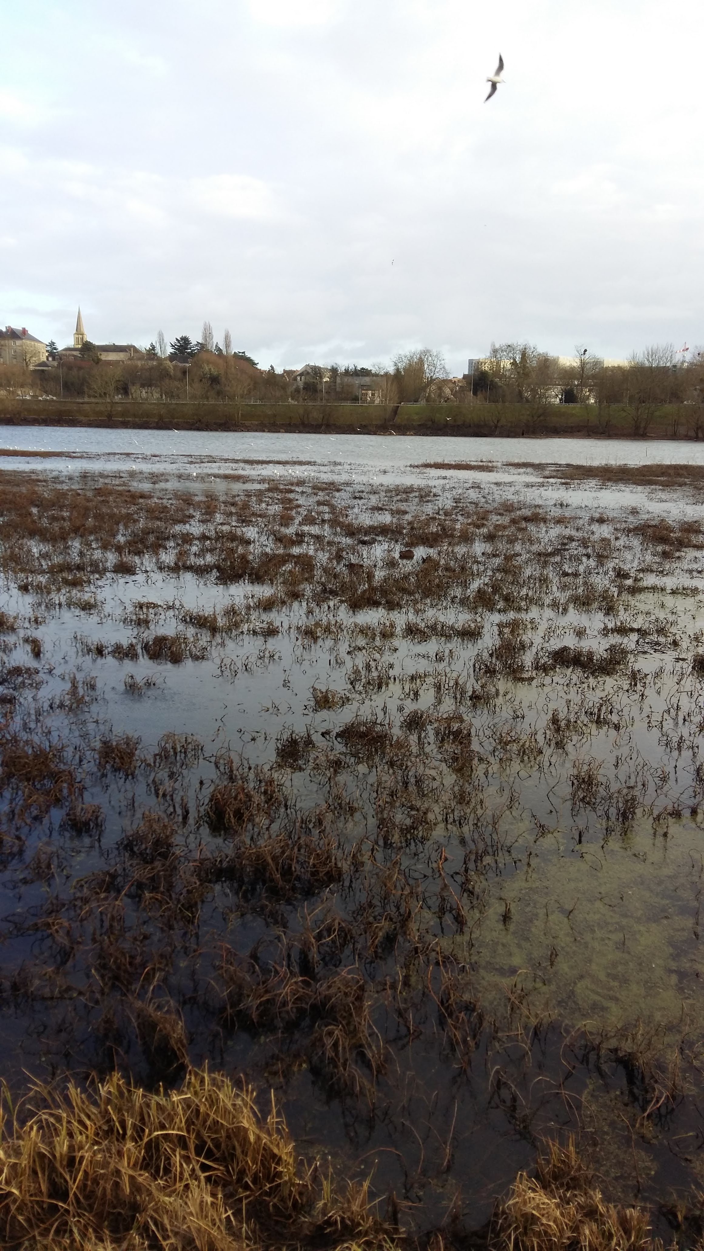 Photo n° 3 de l'avis de john.c fait le 28/01/2019 à 05:27