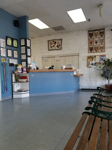 Discount Store «99 Cents Only Stores», reviews and photos, 950 E Avenida De Los Arboles, Thousand Oaks, CA 91360, USA