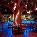 Photo n°1 de l'avis de Jörg. fait le 12/12/2021 à 12:24 sur le  JUNGLE Restaurant à Scharbeutz