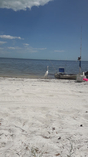 Grocery Store «Bravo Supermarkets», reviews and photos, 4031 Palm Beach Blvd, Fort Myers, FL 33916, USA