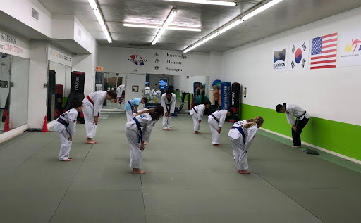 Taekwondo Masters