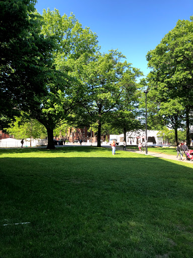 Performing Arts Theater «Sanders Theatre», reviews and photos, 45 Quincy St, Cambridge, MA 02138, USA