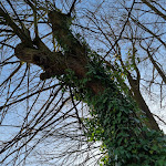 Photo n°3 de l'avis de Janet.e fait le 29/03/2023 à 16:10 sur le  Café Schauwerk à Altdöbern