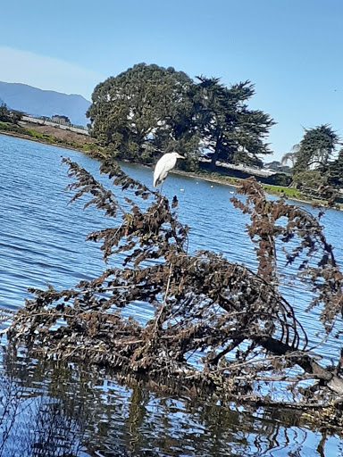 Park «Berkeley Aquatic Park», reviews and photos, 80 Bolivar Dr, Berkeley, CA 94710, USA