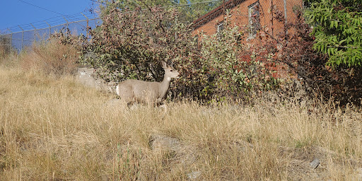 Memorial Park «Pioneer Park», reviews and photos, 120 S Last Chance Gulch St, Helena, MT 59601, USA