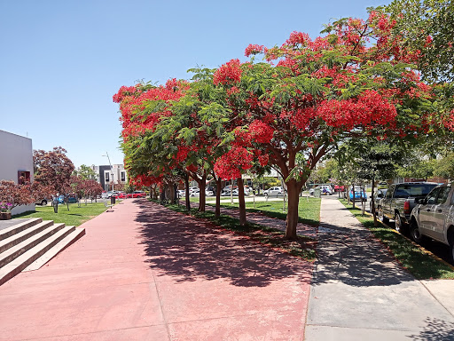 Parque Puerta Del Prado