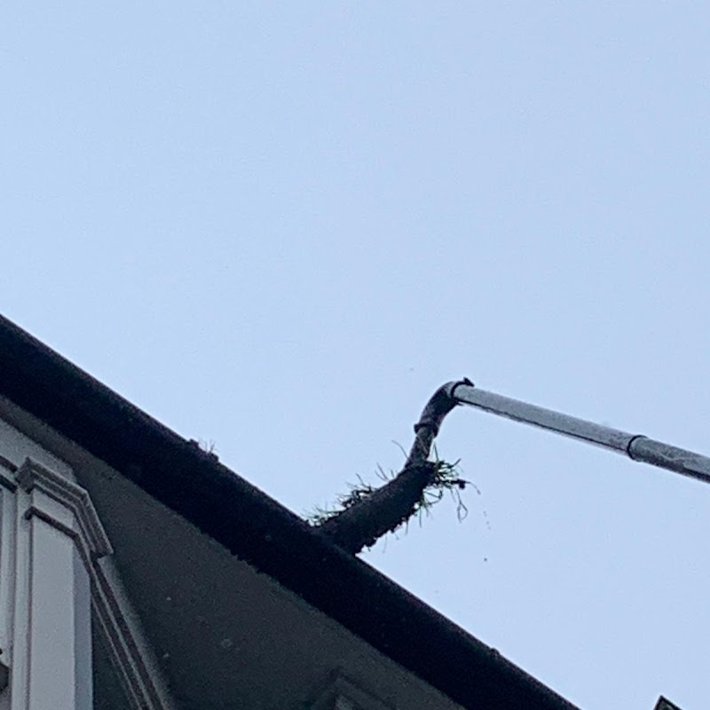 Shark - gutter cleaning, Coventry