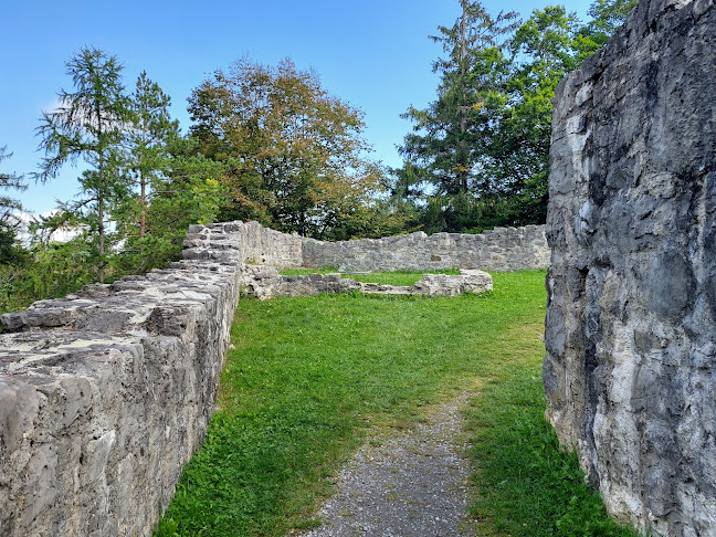 Rezensionen über Ruine Neu-Schellenberg (Obere Burg) in Buchs - Museum