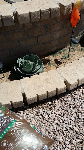 Country Club «Fountain of the Sun Country Club», reviews and photos, 500 S 80th St, Mesa, AZ 85208, USA