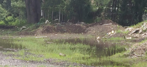 Liquor Store «Liquor Master #5», reviews and photos, 3000 Old Winter Garden Rd, Orlando, FL 32805, USA