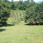 Photo n°2 de l'avis de Francesco.a fait le 20/07/2018 à 16:14 sur le  Bosco del Falco à Volpago del Montello