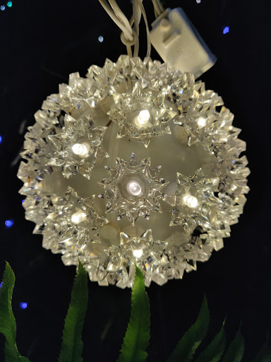 Place of Worship «The Grotto», reviews and photos, 8840 NE Skidmore St, Portland, OR 97220, USA