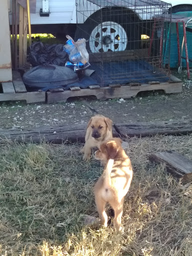 RV Park «Crosby RV Park, Cabin Rentals & Mini Storage», reviews and photos, 5503 US-90, Crosby, TX 77532, USA