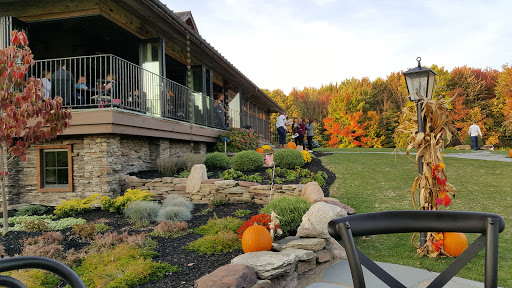 Vineyard «Laurentia Vineyard & Winery», reviews and photos, 4599 S Madison Rd, Madison, OH 44057, USA