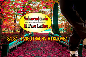 Tango | Bachata | Salsa | Tanzschule | Kurse in Bern - salsacademia.ch