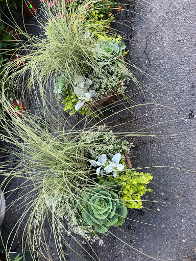 Garden Center «Copia Home and Garden», reviews and photos, 475 Smith Ridge Rd, South Salem, NY 10590, USA