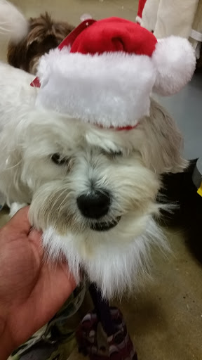 Pet Supply Store «PetSmart», reviews and photos, 4500 Mitchellville Rd, Bowie, MD 20716, USA