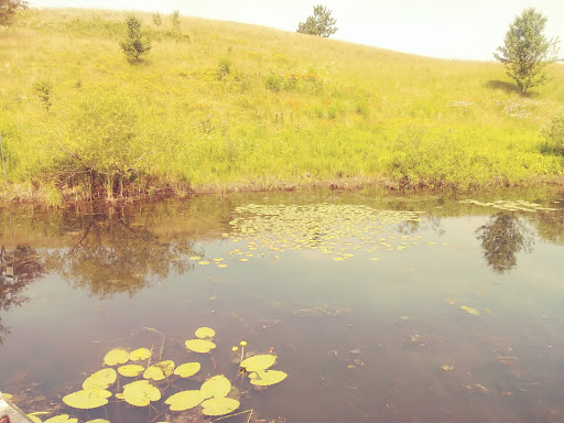 Park «NARA Park», reviews and photos, 25 Ledge Rock Way, Acton, MA 01720, USA