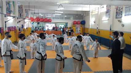 IFAT - Instituto Formativo Académico de Taekwondo