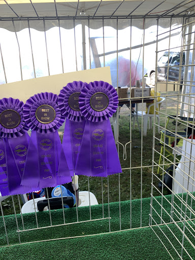 Community Center «High Plains Community Center», reviews and photos, 525 Orange Center Rd, Orange, CT 06477, USA