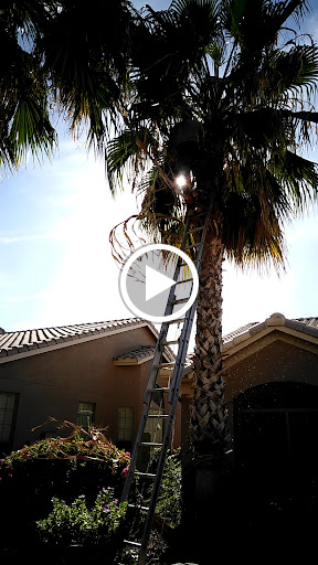 Golf Club «Tuscany Falls Golf Course», reviews and photos, 16262 Clubhouse Dr, Goodyear, AZ 85395, USA