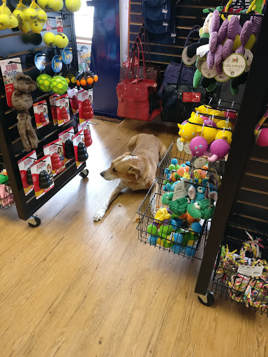 Pet Supply Store «EarthWise Pet Supply - Richardson», reviews and photos, 1310 W Campbell Rd #128, Richardson, TX 75080, USA