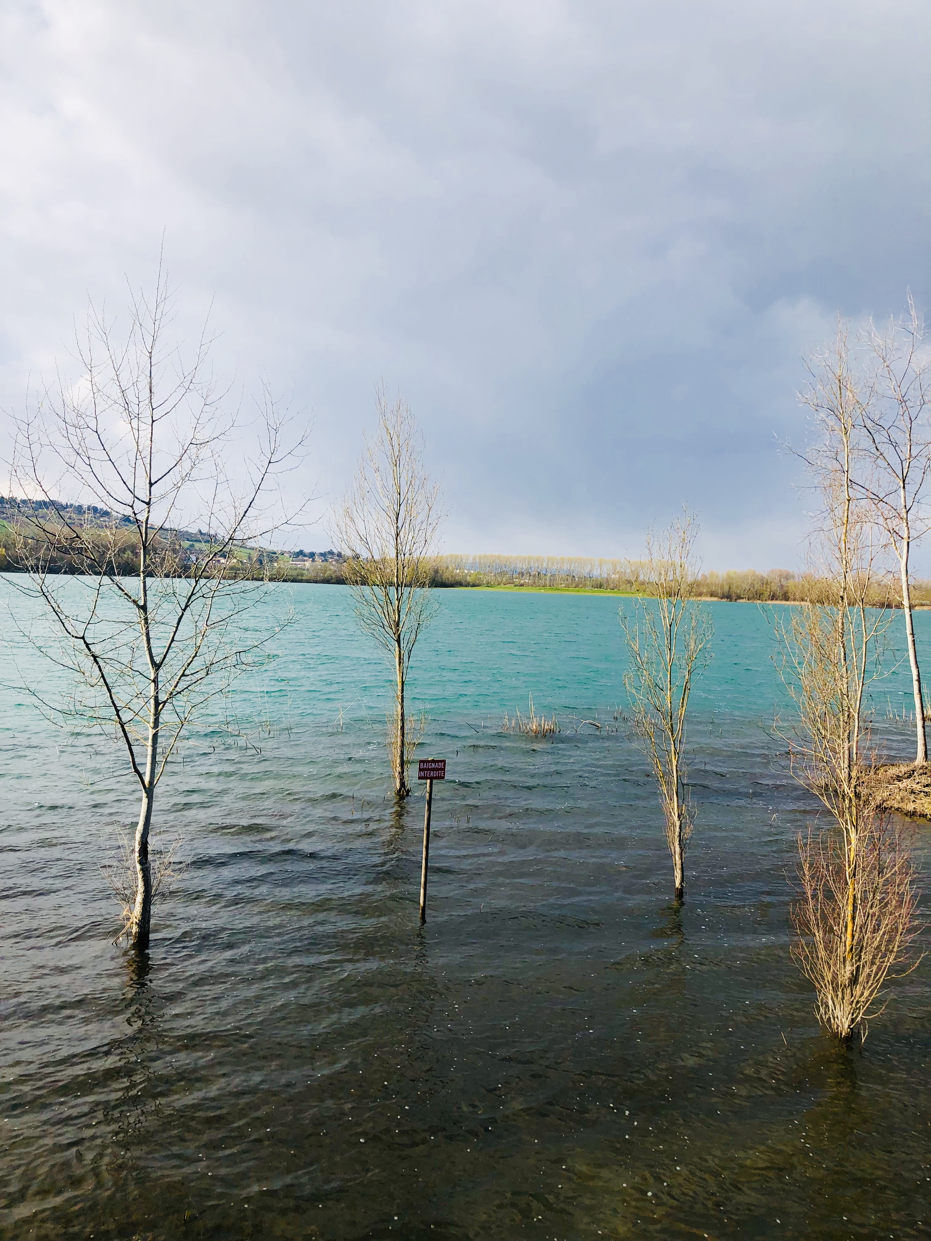 Photo n° 4 de l'avis de Mara.e fait le 23/03/2021 à 17:05