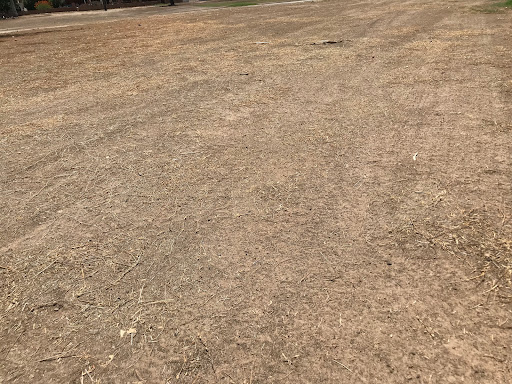 Resort «Arizona Golf Resort, Hotel Spa & Conference Center», reviews and photos, 425 S Power Rd, Mesa, AZ 85206, USA