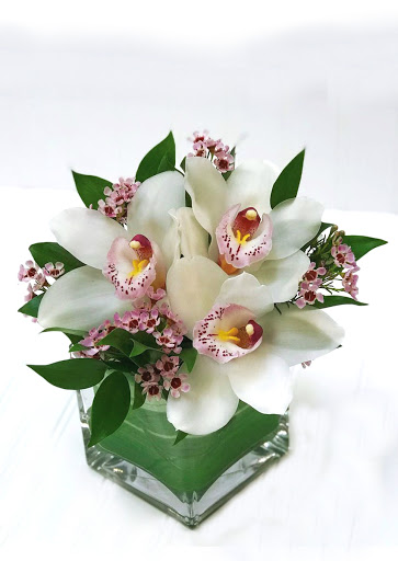 Florist «Blossom Flower Shops», reviews and photos, 275 Mamaroneck Ave, White Plains, NY 10605, USA