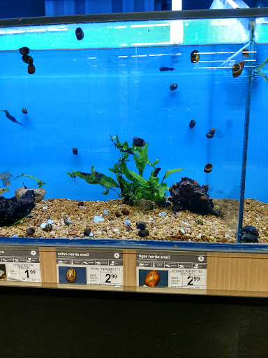 Pet Supply Store «Petco Animal Supplies», reviews and photos, 21348 Kuykendahl Rd, Spring, TX 77379, USA