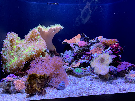 Gift Shop «Seattle Aquarium Gift Store», reviews and photos, 1483 Alaskan Way, Seattle, WA 98101, USA