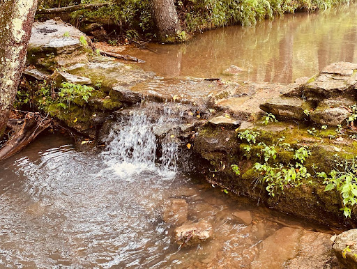 National Park «Shiloh National Military Park», reviews and photos, 1055 Pittsburg Landing Rd, Shiloh, TN 38376, USA