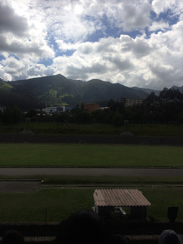 Estadio universitario - Universidad