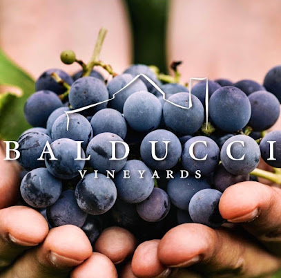 Balducci Vineyards