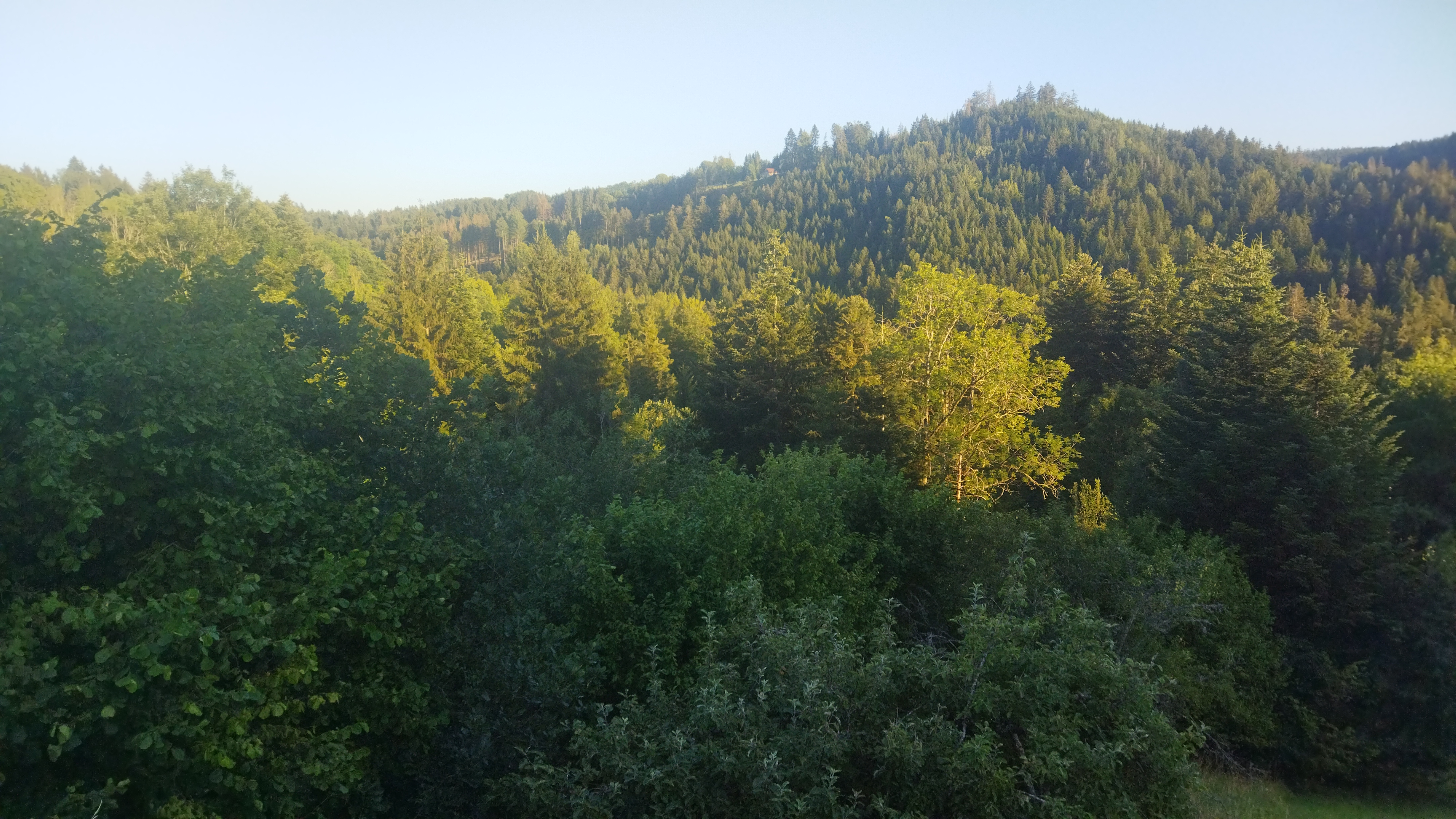 Photo n° 3 de l'avis de Patrice.a fait le 17/07/2022 à 19:21
