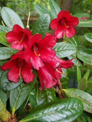 Funeral Home «Mountain View Funeral Home & Memorial Park», reviews and photos, 4100 Steilacoom Blvd SW, Lakewood, WA 98499, USA