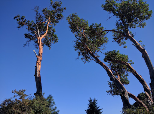 Tourist Attraction «Tillicum Village», reviews and photos, Blake Island, Port Orchard, WA 98366, USA