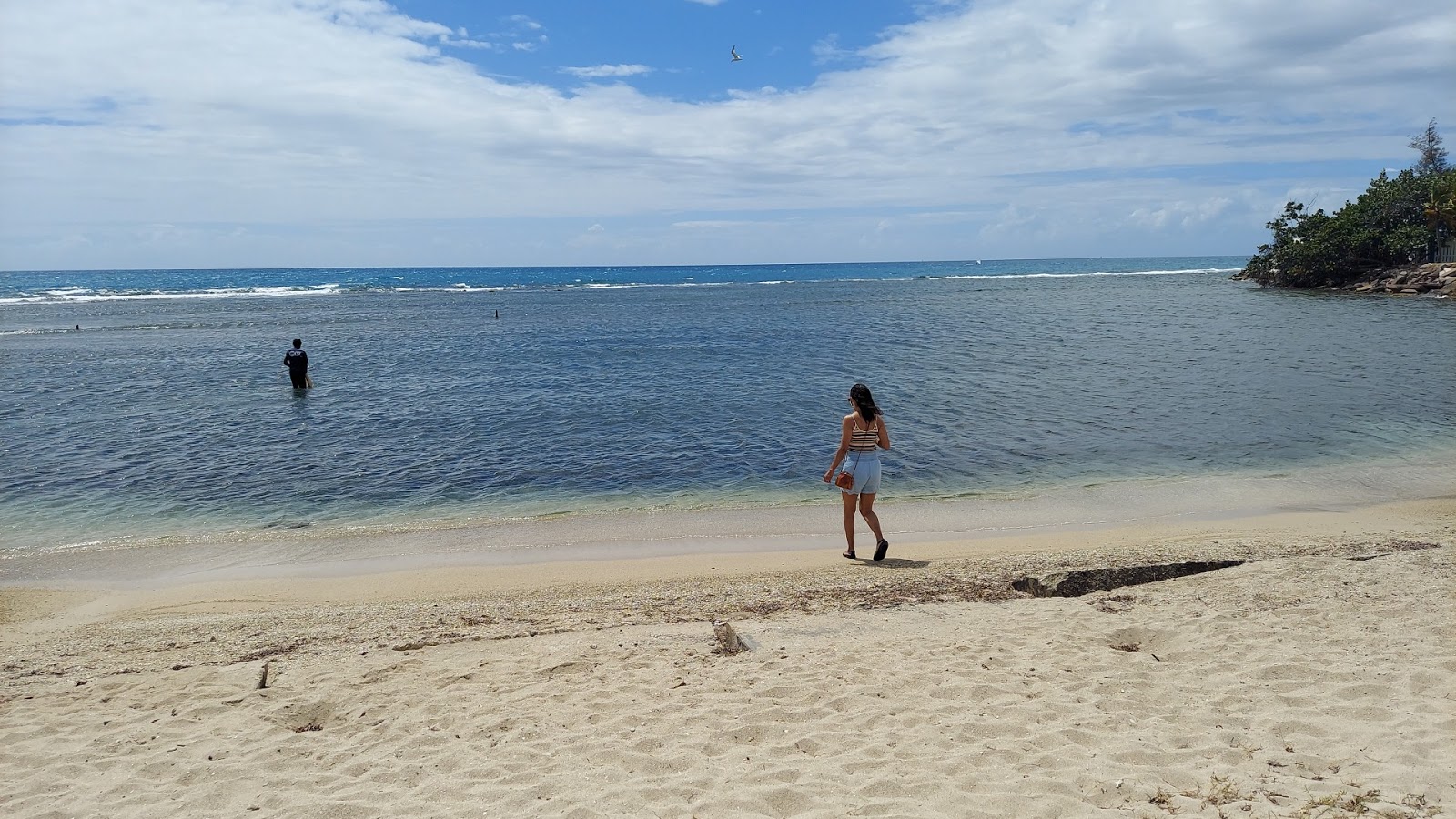 Φωτογραφία του Playa de la Guancha με καθαρό νερό επιφάνεια