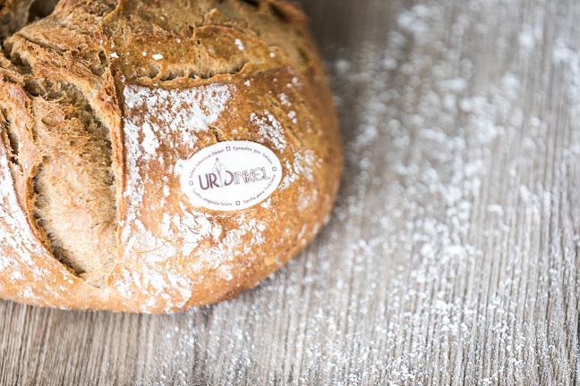 Bäckerei-Konditorei Sterchi AG - Bäckerei