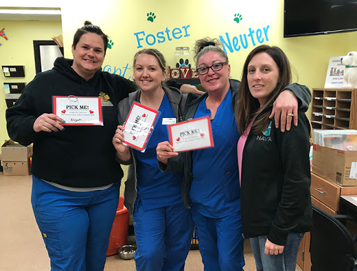 Community College «Trident Technical College», reviews and photos