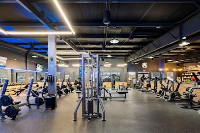 The Spot Gym & Fitness - 140 Progress Cir Suite 7, Blue Ridge, GA 30513