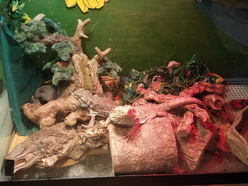 Pet Store «Tanks Pet Supply», reviews and photos, 628 S Main St, Princeton, IL 61356, USA