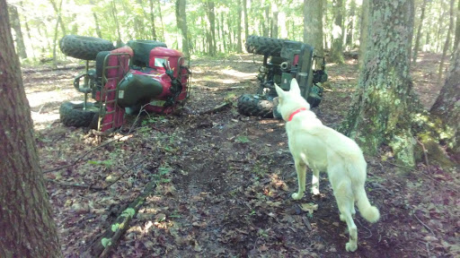 Motorcycle Dealer «Ridersville Cycle», reviews and photos, 75 Good Times Dr, Berkeley Springs, WV 25411, USA