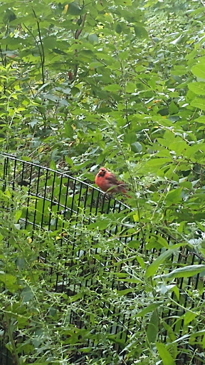 Park «The Loch», reviews and photos, Central Park West, New York, NY 10026, USA