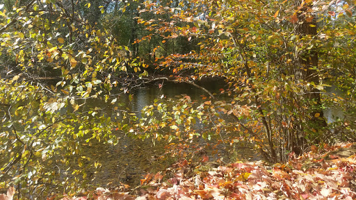 National Park «First State National Historical Park - Peters Rock Parking», reviews and photos, Thompsons Bridge Rd, Wilmington, DE 19803, USA