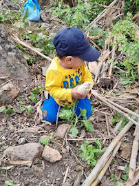 Playhouse Day Care - Photo 3 - Car repair in Danbury, CT, Danbury