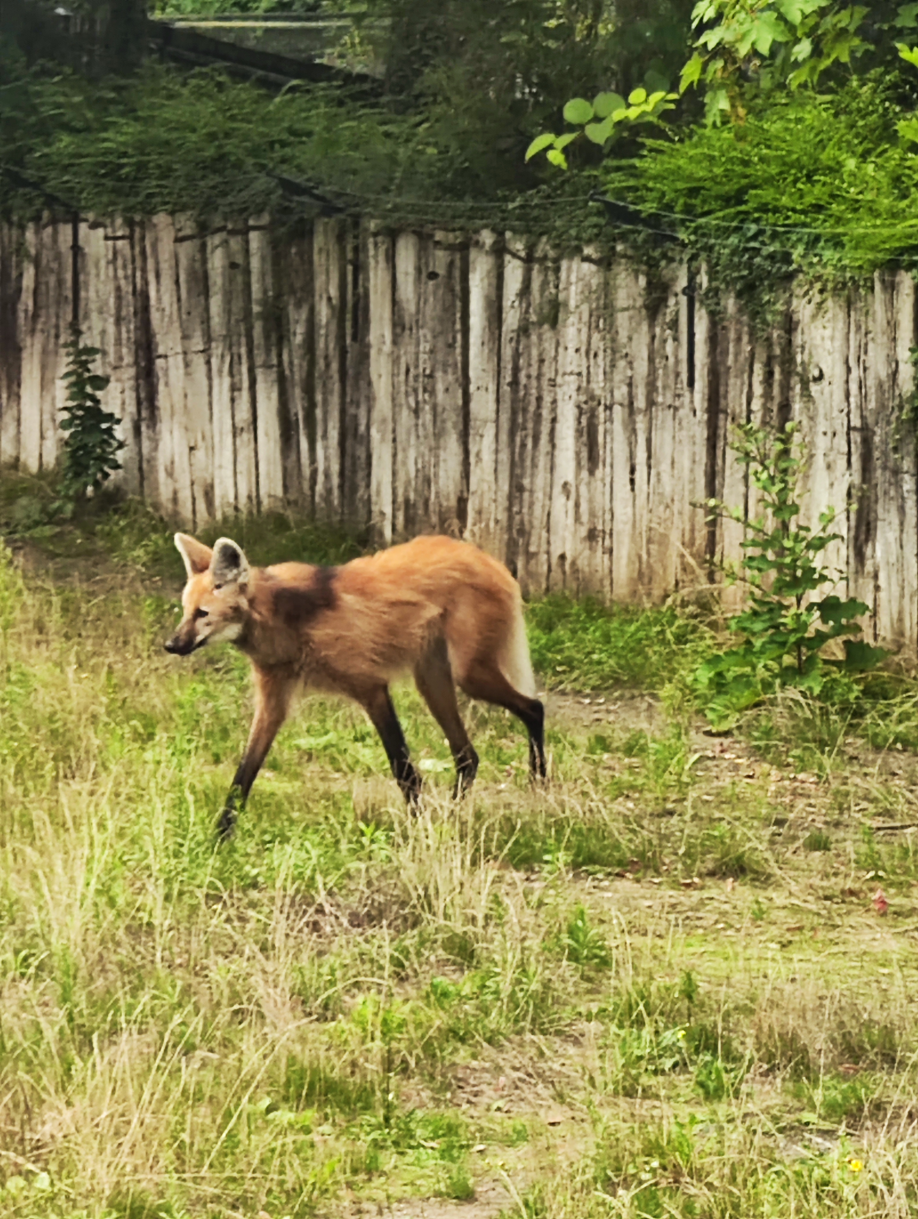 Photo n° 7 de l'avis de Aurelie.o fait le 03/08/2023 à 21:29